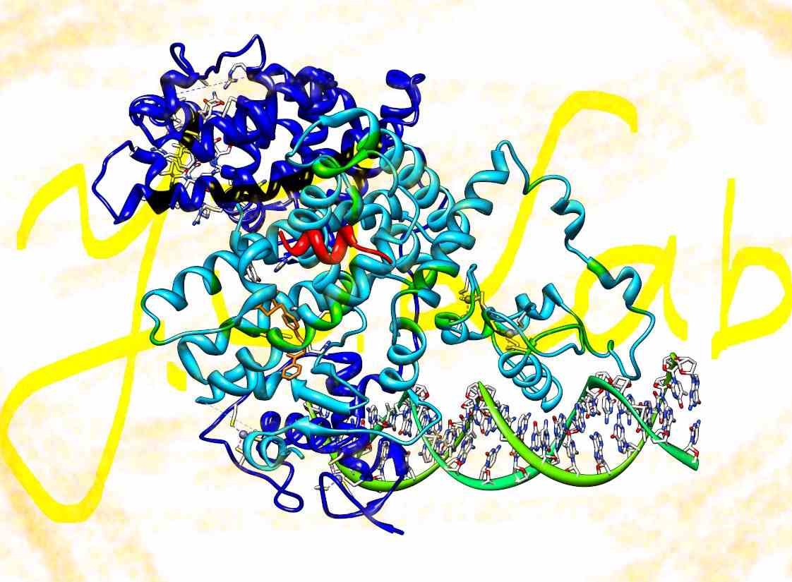 Proteinproteininteraction 6fb0a6031cd803fdb46dd0cb5018257b6fe8387757c60b24ca6745dad8e79297
