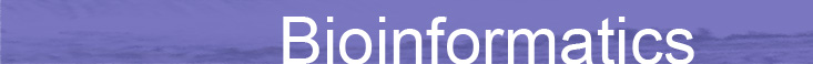 Bioinformatics